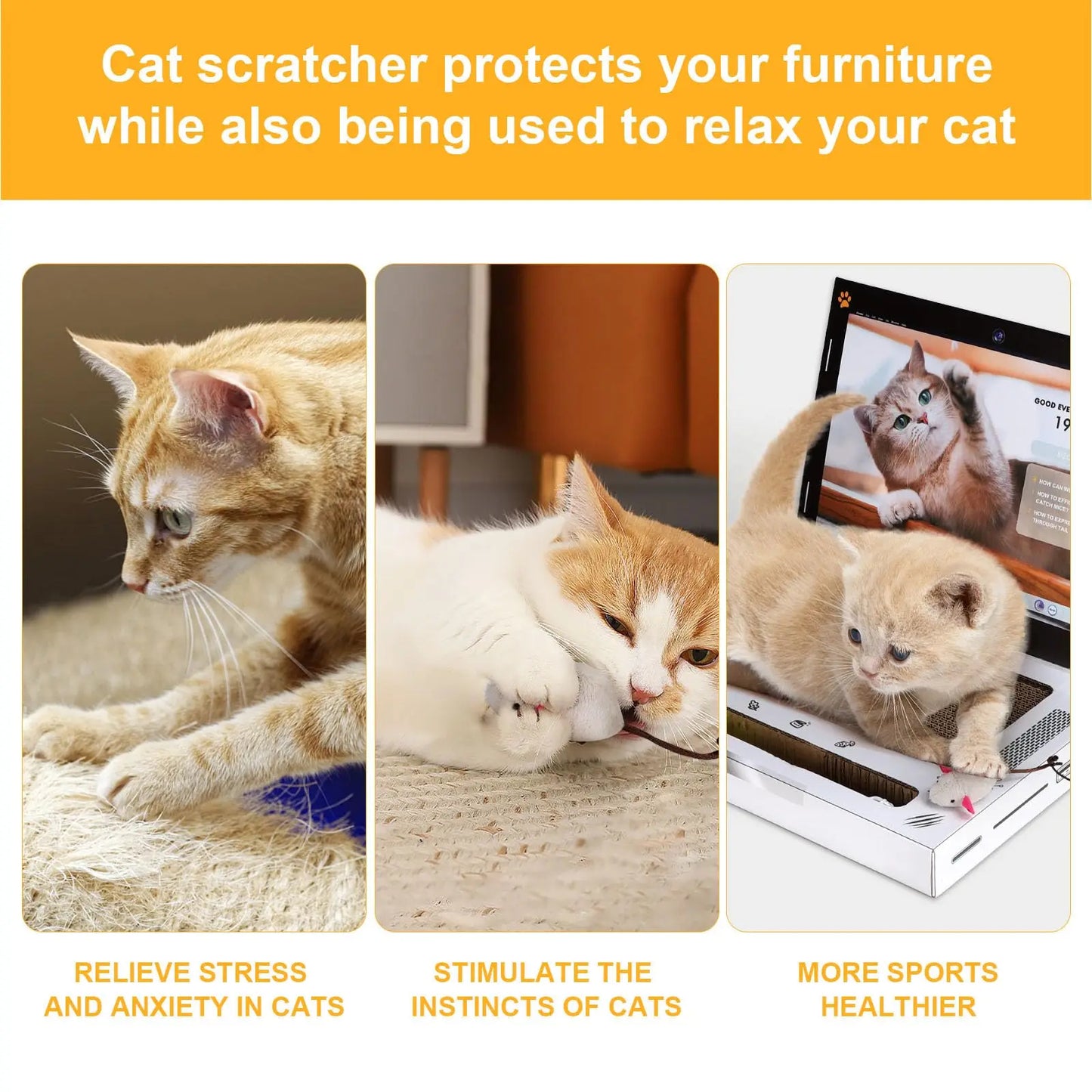 Interactive Laptop Cat Scratcher | 3-in-1 Play & Scratch Toy for Cats